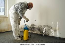  , USA Mold Removal & Remediation Pros